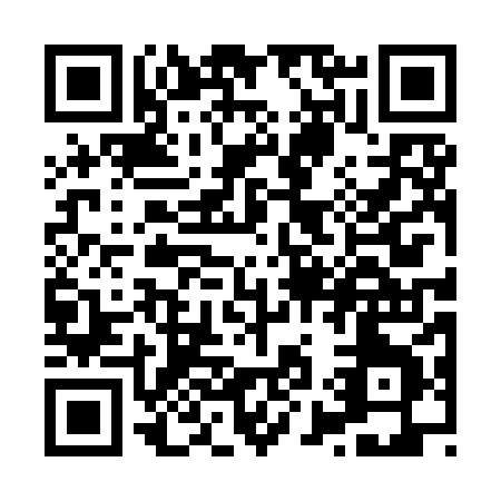 QR code for X909H