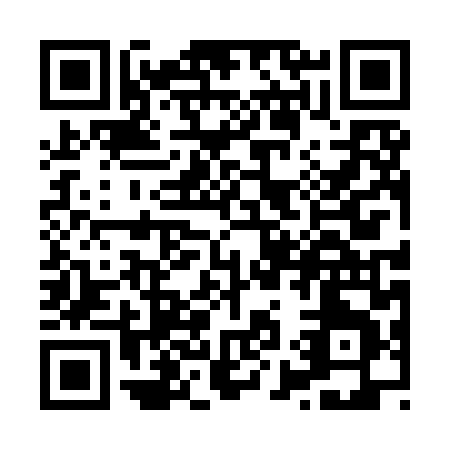 QR code for X909L