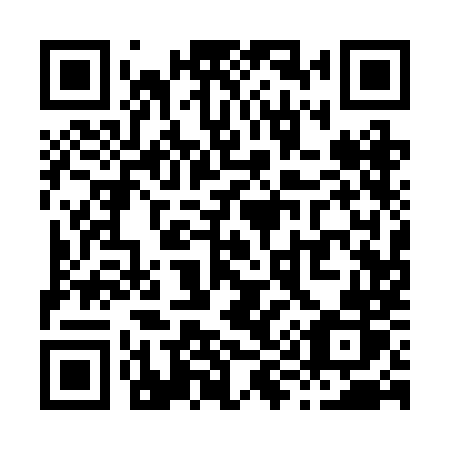 QR code for X91 2MR