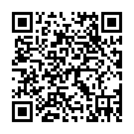 QR code for plate X91 1DV