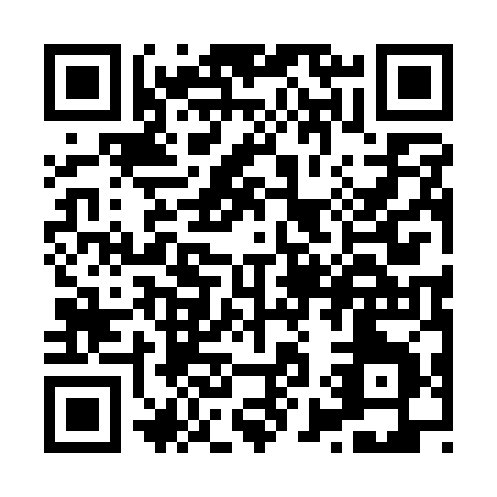 QR code for X911Z