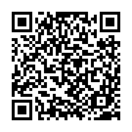 QR code for plate X91 2TL