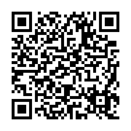QR code for X917V