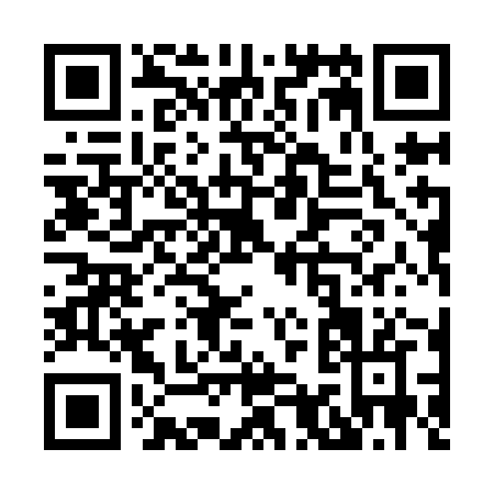 QR code for X919J