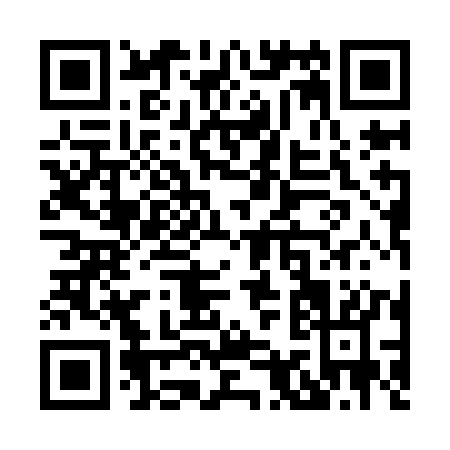 QR code for X919K