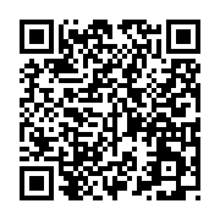 QR code for X919N