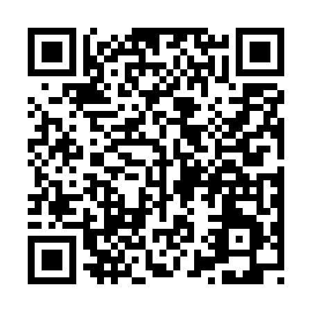 QR code for X925T