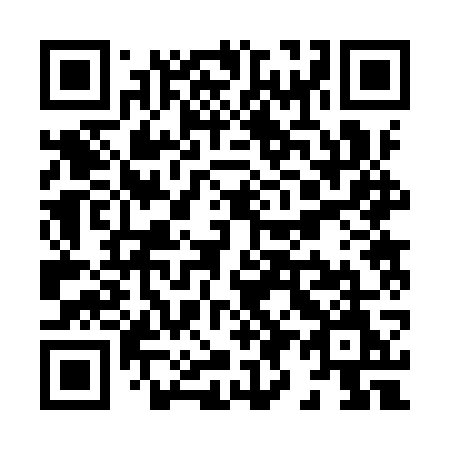 QR code for X929WM