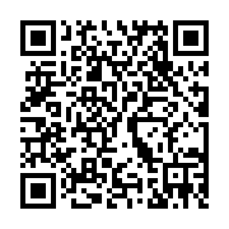 QR code for plate X93 0IT