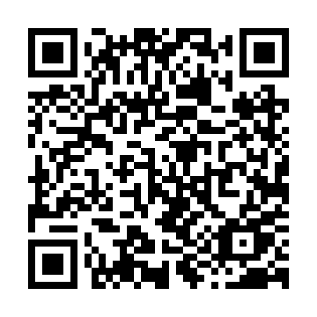 QR code for X94 2PU