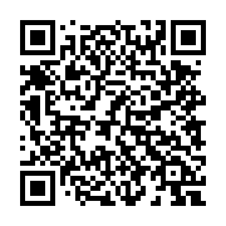 QR code for X94 4VD