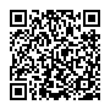 QR code for X95 2FS