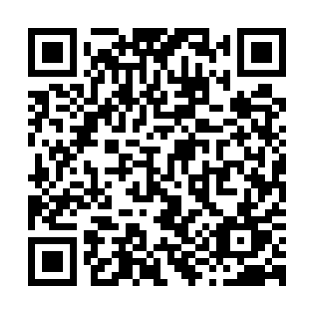 QR code for X95 5QT