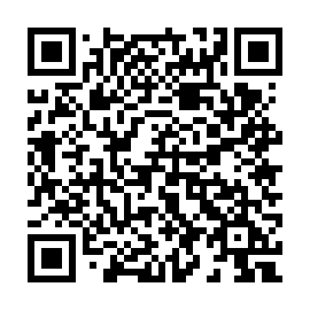QR code for X95 6VE