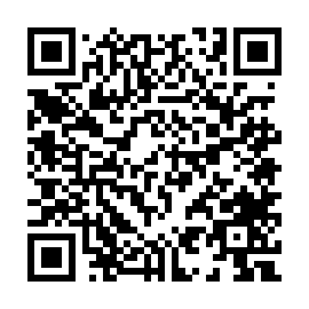 QR code for X950L