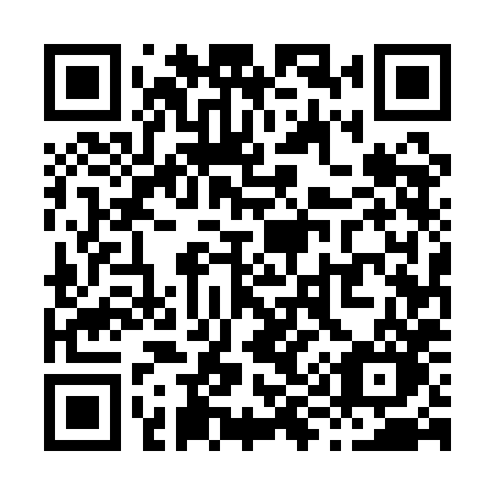 QR code for plate X95 1HO