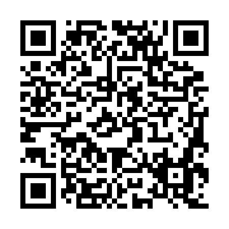 QR code for X952G