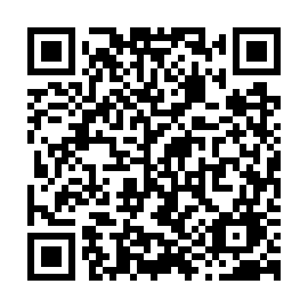 QR code for plate X95 7WG