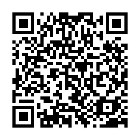 QR code for X958CI