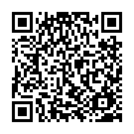 QR code for plate X96 3BD