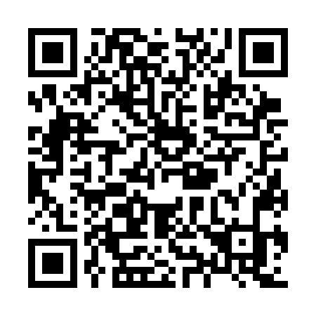 QR code for plate X96 3NK