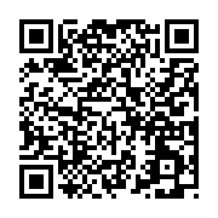 QR code for X971Z
