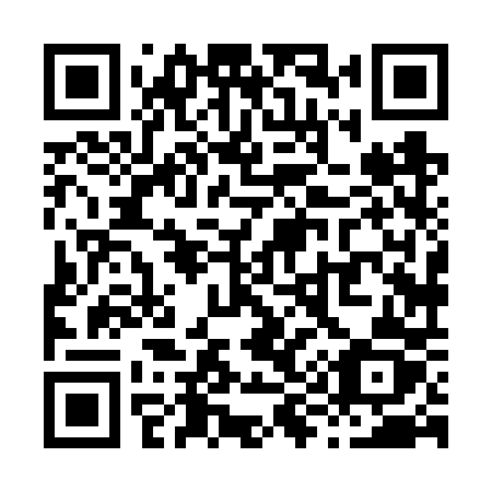 QR code for plate X98 6PZ