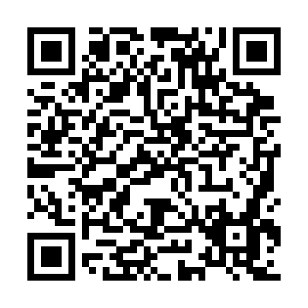 QR code for X993G