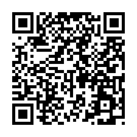 QR code for X994D