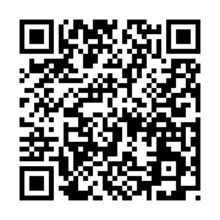 QR code for Y029T