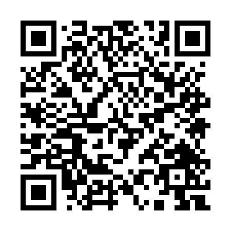 QR code for Y095T