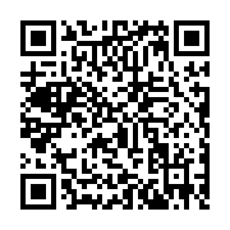 QR code for Y141B