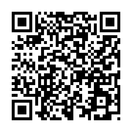 QR code for Y196P