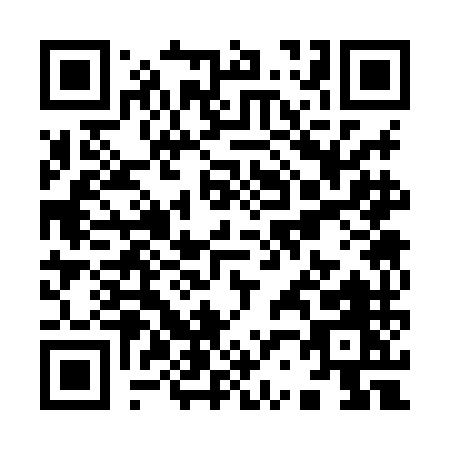 QR code for Y238M