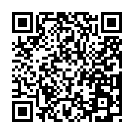 QR code for Y238N