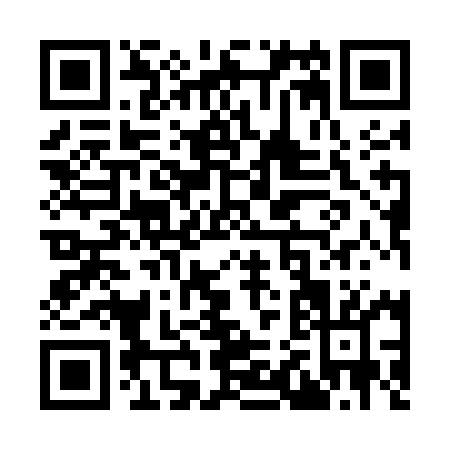 QR code for Y295M