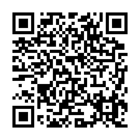 QR code for Y303S