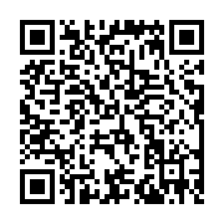 QR code for Y335P