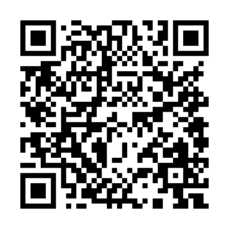 QR code for Y368Q