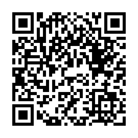 QR code for Y383T