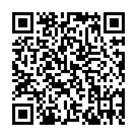 QR code for Y389M