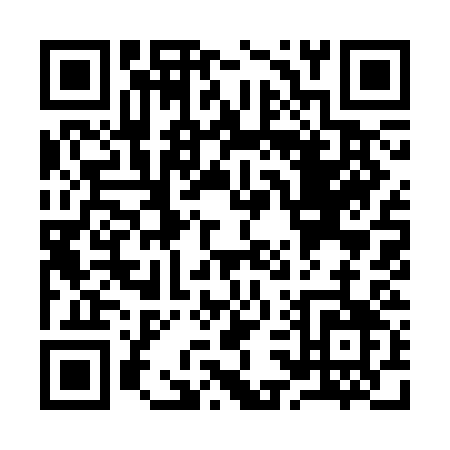 QR code for Y393C