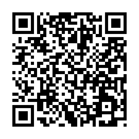 QR code for Y494E