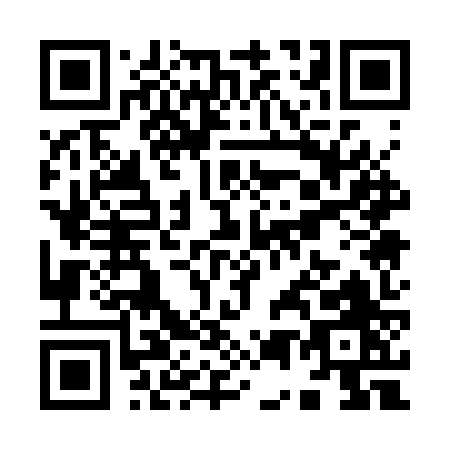 QR code for Y513Z
