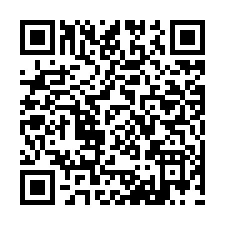 QR code for Y919P