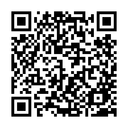QR code for Y93 4MG