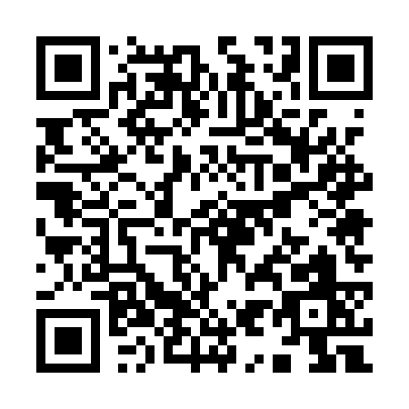 QR code for Y951S