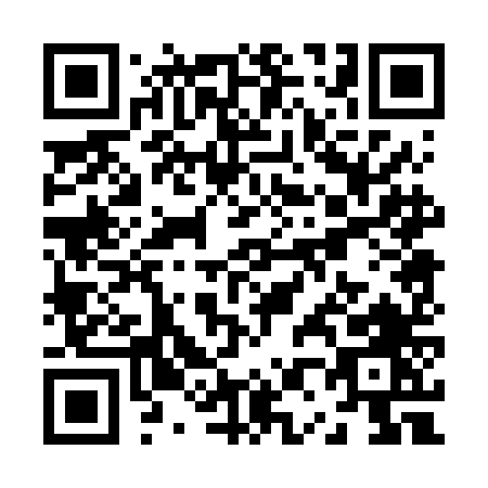 QR code for Z006N