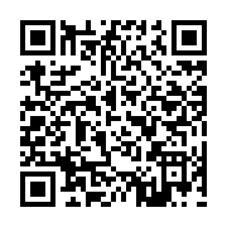 QR code for Z009D