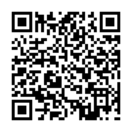 QR code for Z009H